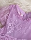 cheap Girls&#039; Dresses-Kids Little Dress Girls&#039; Solid Colored Lace Embroidered White Purple Knee-length Short Sleeve Active Cute Princess Dresses 2-8 Years