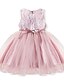 cheap Toddler Girls&#039; Dresses-Kids&#039; Lace Ruffle Swing Dress in Pastel Colors