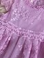preiswerte Kleider für Mädchen-Kinder Wenig Kleid Mädchen Einfarbig Spitze Bestickt Weiß Purpur Knielang Kurzarm Aktiv nette Art Prinzessin Kleider 2-8 Jahre