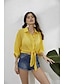 abordables Vestimenta de Mujeres-Mujer Camisa Plano Cuello Camisero Tops Amarillo