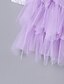 cheap Toddler Girls&#039; Dresses-Kids Toddler Little Dress Girls&#039; Flower Tulle Dress Lace Mesh Backless White Black Purple Asymmetrical 3/4 Length Sleeve Cute Dresses Regular Fit