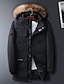 cheap Down&amp; Parkas-Women&#039;s Parka Regular Coat Regular Fit Jacket Letter Black Beige / Plus Size / Plus Size