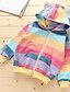 cheap Girls&#039; Jackets &amp; Coats-Kids Girls&#039; Long Sleeve Coat Colorblock Blue Rainbow Zipper Rainbow Active Fall 3-8 Years / Basic / Cotton