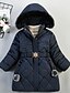 economico Giacche e cappotti per ragazze-Bambino Da ragazza Piume Cappotto Manica lunga Fucsia Marrone Blu marino Liscio Colletto di pelliccia Autunno Inverno Essenziale Strada 2-8 anni