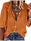 cheap Tops &amp; Blouses-Women&#039;s Blouse Shirt Green Blue Orange Solid Colored Casual Daily Long Sleeve Round Neck Basic S / V Neck / V Neck