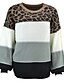 cheap Sweaters-Women&#039;s Pullover Sweater Leopard Cheetah Print Knitted Patchwork Stylish Basic Casual Long Sleeve Loose Sweater Cardigans Fall Winter Crew Neck Gray Red