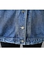 economico Giacche da Donna-Per donna Giacca di jeans Autunno Primavera Casuale Quotidiano Standard Cappotto Colletto Di tendenza Largo Essenziale Casuale Giacca Manica lunga Nappa Tinta unita Blu / Jeans