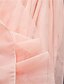 abordables Vestidos de Niña-Niños Poco Chica Vestido Rosa polvorienta Un Color Vestido de Tul Quinceañera Fiesta de Boda Plisado Cabestro Morado Azul claro Malla Maxi Sin Mangas Básico Vestidos 3-10 años