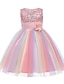 cheap Girls&#039; Dresses-Kids Little Dress Girls&#039; Rainbow Flower Party Sequins Pleated Bow Blue Purple Pink Knee-length Lace Tulle Sleeveless Cute Dresses
