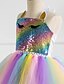 abordables Jupes pour Bébés-Robe Fille Enfants Petit à imprimé arc-en-ciel Coloré Licorne Paillettes Licou Soirée Robe Tutu La photographie Violet Argent Dorée Tulle Princesse Le style mignon Robes Trois pièces 2-8 ans