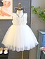 cheap Girls&#039; Dresses-Kids Little Dress Girls&#039; Solid Colored School Daily Lace Ruffle Mesh White Cotton Sleeveless Elegant Princess Dresses Summer 2-8 Years