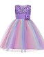 cheap Girls&#039; Dresses-Kids Little Dress Girls&#039; Rainbow Flower Party Sequins Pleated Bow Blue Purple Pink Knee-length Lace Tulle Sleeveless Cute Dresses