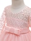 abordables Vestidos de Niña-Niños Chica Vestido Color sólido Pegeant Lazo Vintage Princesa Poliéster Maxi Vestido princesa rosa Blanco Rosa Vino