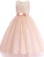 cheap Girls&#039; Dresses-Kids Little Dress Girls&#039; Solid Color Bow Party Dress Mesh Hole White Blue Pink Maxi Lace Tulle Long Sleeve Elegant Vintage Princess Dresses Fall Winter Regular Fit 4-13 Years / Summer