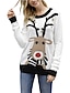 cheap Sweaters-Women&#039;s Pullover Animal Print Casual Long Sleeve Sweater Cardigans Fall Winter Round Neck White / Christmas