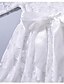 billige Pikekjoler-barn jentekjole jacquard ensfarget bryllupsfest spesiell anledning snøring sløyfe hvit svart rosa maxi langermet vintage elegante prinsessekjoler vår sommer normal passform 3-10 år