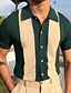 cheap Men&#039;s-Men&#039;s Polo T shirt Vintage Style Spring Summer Green