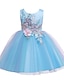 cheap Girls&#039; Dresses-Elegant Cotton Lace Floral Dresses for Girls