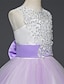 cheap Girls&#039; Dresses-Elegant Sleeveless Lace Floral Princess Dress