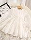 cheap Girls&#039; Dresses-Kids Toddler Little Girls&#039; Dress Jacquard Solid Colored Wedding Mesh White Knee-length Long Sleeve Cute Dresses Fall 2-8 Years