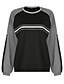 abordables Sweats à capuche et sweat-shirts-Femme Rayure Sweat-shirt Décontractée Pulls Capuche Pulls molletonnés Noir