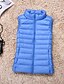 baratos Women&#039;s Coats &amp; Jackets-Mulheres Colete Casual Outono Inverno Padrão Casaco Normal Clássico Casaco Sem Manga Sólido Estilo Clássico Roxo Rosa / Forrado / Casual / Diário