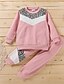 cheap Girls&#039; Clothing Sets-Kids Girls&#039; Clothing Set Long Sleeve 2 Pieces Pink Print Leopard Casual Daily Cotton Regular Cute Sweet 3-8 Years Maxi / Fall