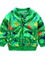 cheap Boys&#039; Jackets &amp; Coats-Kids Boys&#039; Long Sleeve Jacket &amp; Coat Green Royal Blue Print Active Fall School / Cotton