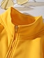 cheap Women&#039;s Clothing-Women&#039;s Plain Zip Up Hoodie Sweatshirt Outerwear Zipper non-printing Daily Basic Hoodies Sweatshirts  Yellow Green Light Grey