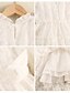 preiswerte Kleider für Mädchen-Kinder Baby Wenig Mädchen Kleid Jacquard Einfarbig Hochzeit Gitter Weiß Knielang Langarm nette Art Kleider Herbst 2-8 Jahre