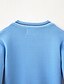 cheap Boys&#039; Tees &amp; Blouses-Kids Boys&#039; Sweater Long Sleeve Blue Navy Blue Solid Color Indoor Outdoor Cool Daily 5-13 Years / Fall / Winter