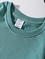 abordables Vestimenta de Mujeres-Mujer Plano Pull-over no imprimible Diario Básico Sudaderas con capucha Sudaderas Caqui Verde Trébol Blanco