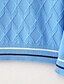 abordables Camisetas y camisas para niños-Niños Chico Pulóveres Manga Larga Azul Piscina Azul Marino Color sólido Interior Exterior Fresco Diario 5-13 años / Otoño / Invierno