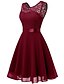cheap Party Dresses-Women‘s Party Dress Lace Dress Knee Length Dress Pink Red Wine Dark Blue Red White Black Sleeveless Pure Color Lace Spring Summer Crew Neck Elegant 2022 XS S M L XL XXL XXXL