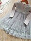 cheap Girls&#039; Dresses-Kids Toddler Little Girls&#039; Dress Solid Colored Flower Daily Tulle Dress Mesh Lace Trims Gray Knee-length Organza Long Sleeve Elegant Cute Dresses Fall Winter Loose 2-8 Years / Spring