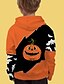 cheap Boys&#039; Hoodies &amp; Sweatshirts-Kids Boys&#039; Hoodie Long Sleeve 3D Print Graphic Pumpkin Halloween pattern Orange Children Tops Fall Active Daily Halloween Regular Fit 4-12 Years