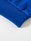 preiswerte Jungen T-Shirts &amp; Hemden-Kinder Jungen Pullover Langarm Blau Gelb Farbblock Täglich Outdoor Baumwolle Aktiv Grundlegend 2-8 Jahre / Herbst / Frühling