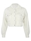 cheap Jackets-Women&#039;s Jacket Teddy Coat Sherpa jacket Patchwork Short Coat White Going out Casual Single Breasted Winter Turndown Oversized S M L