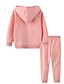 cheap Girls&#039; Clothing Sets-Kids Girls&#039; Hoodie &amp; Pants Long Sleeve 2 Pieces Pink Print Graphic Butterfly Casual Daily Cotton Regular Basic Cool 2-8 Years / Fall / Spring