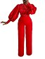 cheap Women&#039;s Jumpsuits-Women&#039;s Jumpsuit Lace Flower Solid Color Crew Neck Casual Wedding Birthday Straight Regular Fit Long Sleeve Bishop Sleeve Red S M L Fall