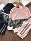 cheap Girls&#039; Clothing Sets-Kids Girls&#039; Hoodie &amp; Pants Long Sleeve 2 Pieces Pink Navy Blue Lace Patchwork Letter Outdoor Regular Comfort Daily 3-6 Years / Fall / Spring