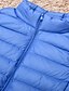 preiswerte Women&#039;s Coats &amp; Jackets-Damen Weste Normal Herbst Winter Standard Mantel Normale Passform Klassisch &amp; Zeitlos Jacken Ärmellos Solide Klassicher Stil Purpur Rosa / Gefüttert / Lässig / Alltäglich