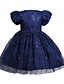 cheap Girls&#039; Dresses-Kids Little Dress Girls&#039; Sequin Party Special Occasion Mesh Blue Pink Red Knee-length Short Sleeve Cute Sweet Dresses Fall Winter Slim 2-8 Years / Spring / Summer