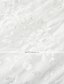 economico abiti di pizzo-Per donna Vestito da festa Abito di pizzo Vestito bianco Mini abito Bianco Senza maniche Colore puro Pizzo a contrasto Estate Primavera A V scollato Romantico Da mare 2023 S M L XL