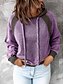 abordables Sweats à capuche et sweat-shirts-Femme Bloc de couleur Sweat-shirt à capuche Décontractée Sortie Décontractée Pulls Capuche Pulls molletonnés Rouge vin Bleu Violet