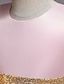abordables Robes pour Filles-Robe Fille Enfants Robe Trapèze Petit Couleur Pleine Dentelle Noeud Soirée Rose Claire Vin Marron clair Midi Polyester Sans Manches Décontractée Princesse Robes Eté Standard 1-5 ans