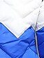 preiswerte Jacken &amp; Mäntel für Mädchen-Kinder Mädchen Daune Mantel Langarm Blau Rosa Patchwork Glatt Strasse Urlaub Baumwolle Aktiv Grundlegend 4-12 Jahre / Herbst / Winter