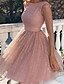 cheap Party Dresses-Women&#039;s Knee Length Dress A Line Dress Pink Long Sleeve Backless Mesh Patchwork Pure Color Round Neck Spring Summer Party Romantic Sexy Mesh S M L XL XXL