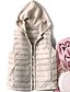 economico Piumini e parka da donna-Per donna Gilet Autunno Inverno Strada Giornaliero Per uscire Standard Cappotto Tenere al caldo Traspirante Standard Informale Giacca Senza maniche Zip intera Tasche Tinta unica Rosa Grigio Cachi