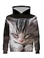 preiswerte Kapuzenpullover &amp; Sweatshirts für Mädchen-Kinder Mädchen Kapuzenpullover Langarm Regenbogen 3D-Druck Katze Bedruckt Bedruckt Katze 3D Tier Aktiv Strassenmode
